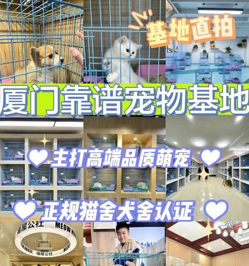 亚洲日韩中文第一精品,国产精品久久久久久久久鸭